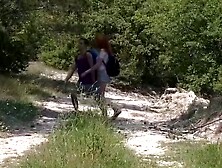 Wildfire Desires Foxy Lees Untamed Adventure