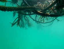 Milf Voyeur Ass Underwater Orange String Bikini 2