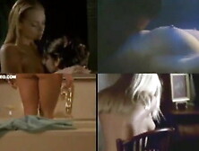 Celebrity Compilation