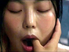 Watch The Handmaiden - Korean,  Lesbian,  Onlyfans Porn