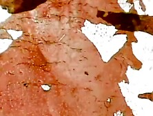 BABES OF YESTERYEAR - Full Vintage Movie