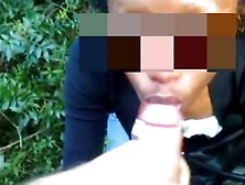 Jo Outdoor Deep Throat & Swallows Cum Public Parc