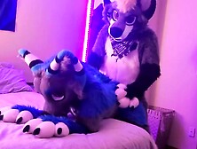 Even however they got clad up for a mask soiree, inexperienced duo determined to drill first-ever