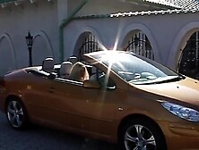 The lightning genius manages to grant wants and organizes