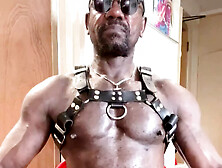 Black Mature Bodybuilder Leather Harness Flex & Bbc Cum