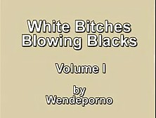 White Whores Blowing Blacks Vol I. Avi