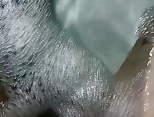 The bitch shows her cunt on camera.