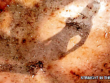 Straight in the Behind - 2 babes with huge breasts pinned in the bum in an orgy sex-party