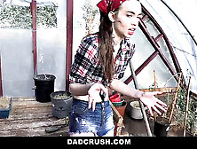 Laid Back Country Living