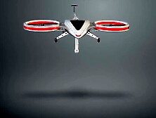 Sonne macht sie rattig