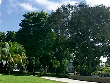 A Stunning Day At The Park Met A Horny Sweet Black Bitch Took Her To The Condo For Bj - Jhodez