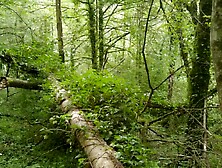 Je baise une mother i'd like to fuck dans la forêt pendant que les gens passent - Marty&Wendy