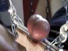 Extreme Session Bdsm: Ball Suspended And 3 Needle In