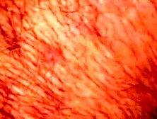 Pussy Play #3 - Masturbation Queen Strips Down & Fingers Her Wet Vagina