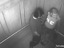 Elevator Security Cam Gets Couple Fucking