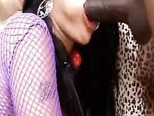 Slim Black Bimbos Inside Bombshell Fishnet Gets Plowed By 2 African Studs