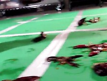 Veronica thong sandals crush