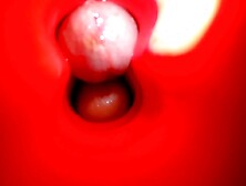 Intimaly Gopro Endoscopy Combo With Tserica Sex-toy Inserted Grinding Dick In Cockblock Frot Pov