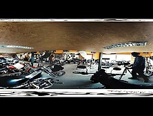 Watch wild Lady Dee's smut