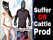 Femdom Bdsm Bondage Suffer Whipping Caning Beating Or Cattle Pro