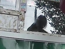 Period love tunnel upskirt of unshaved blond