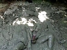 Mud Bunny Videos