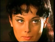 --fmvideo versión en español019 6