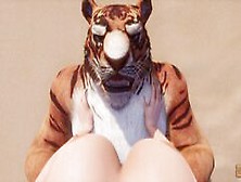 Wild Life / Huge Tiger Furry Knotting Female Pov