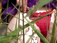 Anouk Beyond the Veil A Journey to the Darkest Pleasures