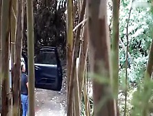 Hidden Cam - Woods 7