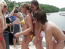 Party Cove Hotties - Springbreaklife