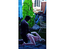 Sims 4 Felicity the Fairy and Kash the Werewolf
