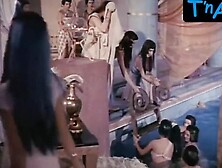 Sophia Loren Bikini Scene  In Due Notti Con Cleopatra