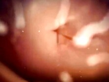 HUGE AFRICAN DICK BREEDING FOREVER COMPILATION