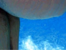 2 Huehner im Pool auf Mallorca