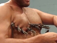 Tattooed Muscle Hunks Torment Each Other With Nipple Clips