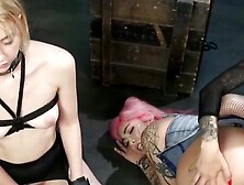 Mistress Gia Unleashes Her Wildest Fantasies Lesbians In Bondaged Twist Fucking Creaming In Threesome Anal Debacle