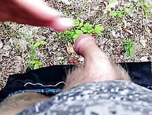 A friend sucks my dick in a public park and swallows cum