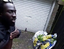 LEONARD BROSE FANTASIES EBONY MISSES MAKES IT HAPPEND IN A DOGGY STYLE WAY