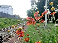ElivaLove's elivalove video