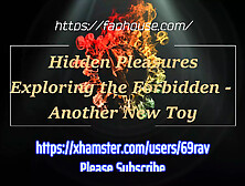 Unseen Pleasures Exploring The Forbidden - New Toy & Old Toy