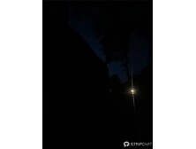 german camgirl Jolene in her car