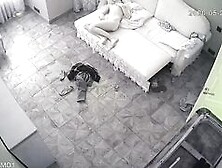 WH-IP-014. IP Cameras