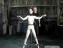 Calico Slave - Early Ir Shoot