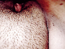 My friend's sexy GF spreads her legs and begs me to jizz inside her cunt every day