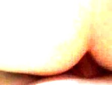 Fucking doggie up close and personal