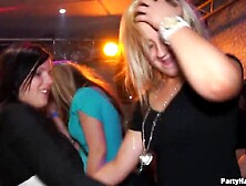 Tainster - Party Hardcore Vol. 72 Part 6 - Web Camera two