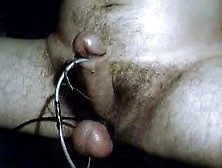 Gay - Estim Cummers 49