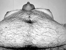 SILVER WILLOW | Oral POINT OF VIEW