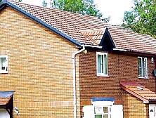 Sophie Sheridan - Sucker Punt